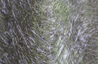 Easter Compton fibreglass roof work